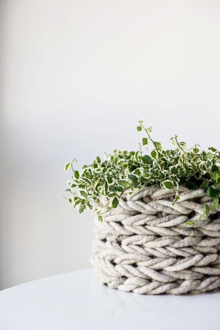 Knitting a plant pot without needles The joy of plants