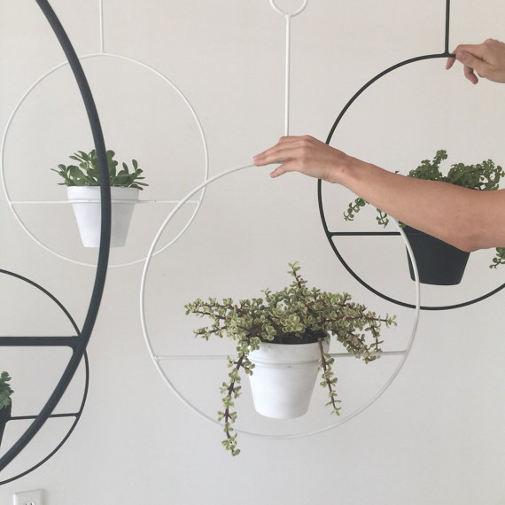 Is this the coolest way to display your houseplants? | The joy of plants