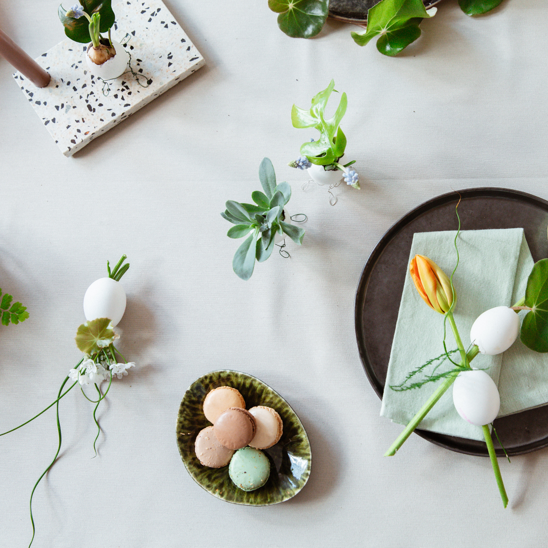 Easter | The joy of plants