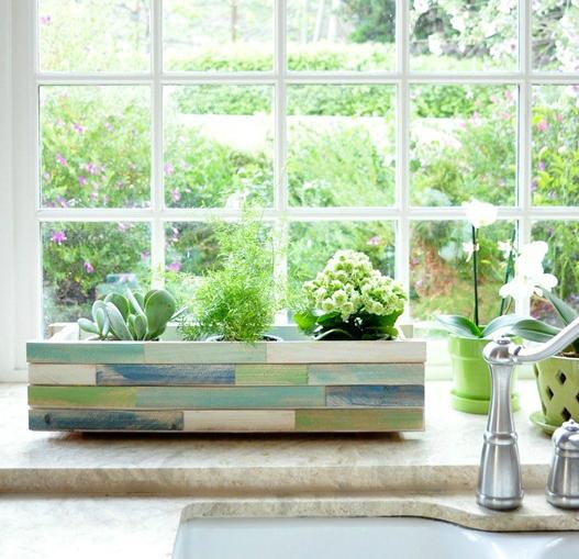 Box Indoor window box ideas | Joy of Plants