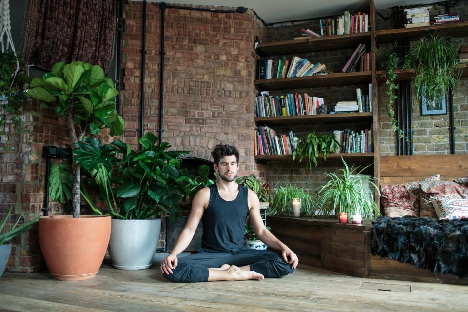 25 Ideal Plants for Your Yoga Studio