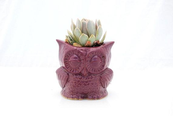 Owl planter