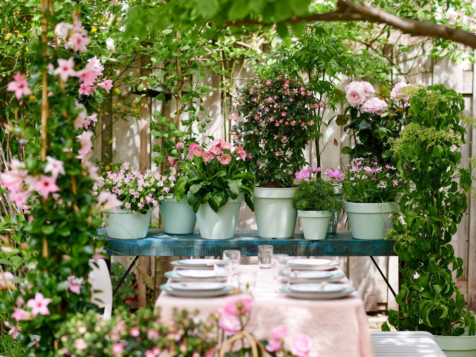 PINK GARDEN store