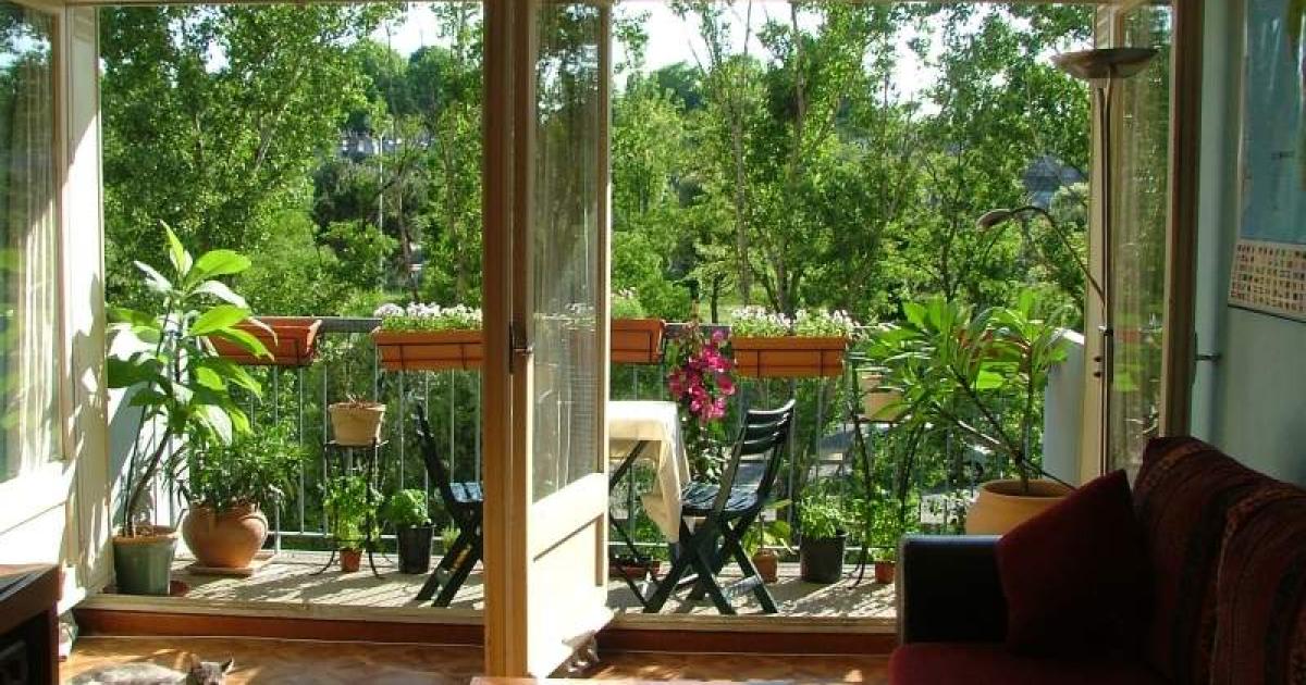 Create a wildlife haven on your balcony | The Joy of Plants