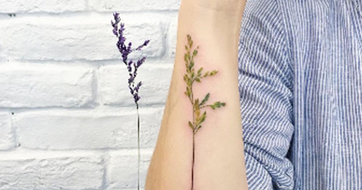 Pitcher Plant  Monolith Tattoo Company  Facebook