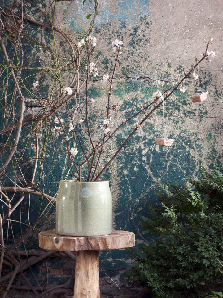 Image of Snowball bush with bare branches winter