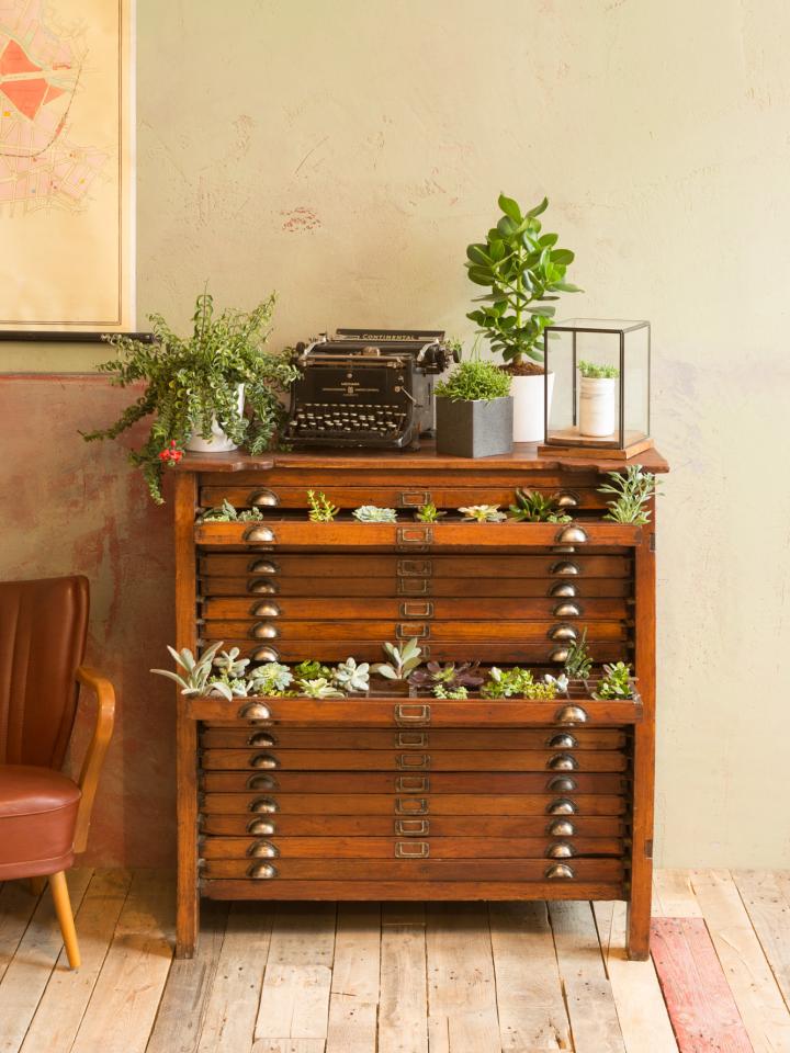 Drawers of plants