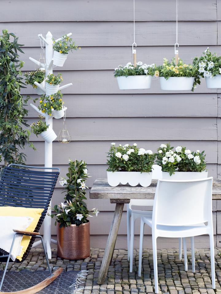 Summer trend 2015: comfortable & luxurious Thejoyofplants.co.uk