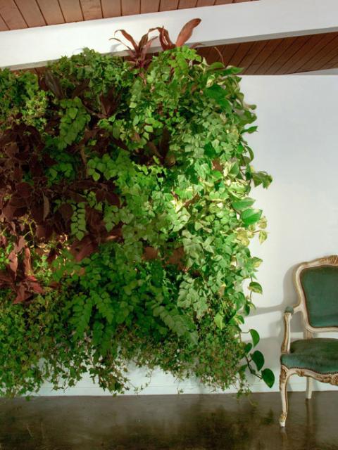 Woolly Pocket Living Wall