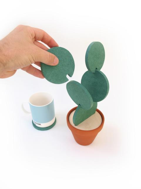 cacti coaster