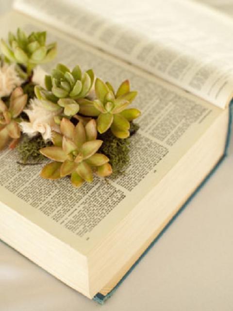 DIY Vintage book planter on thejoyofplants.co.uk