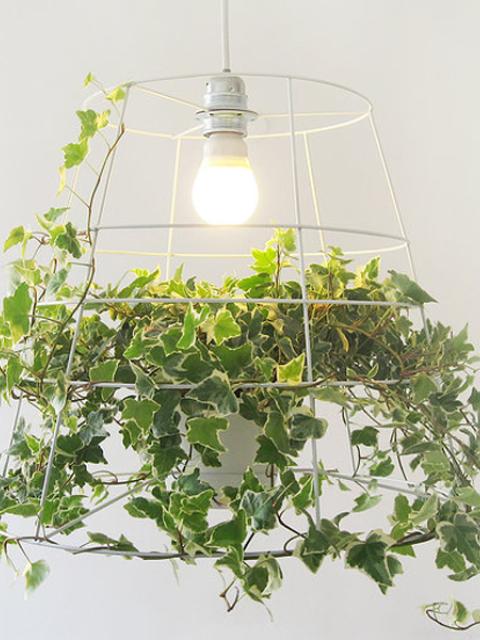 Your ivy will grow super-fast in the Photosynthesis Lamp by Meirav Barzilay