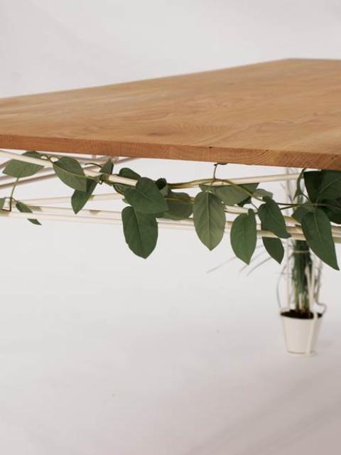 A table made of plants on thejoyofplants.co.uk