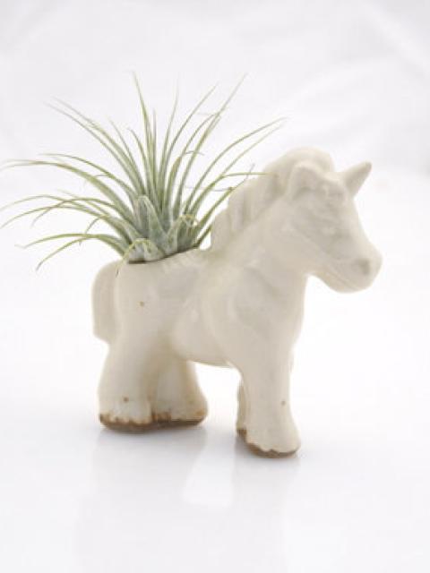 Unicorn Planter