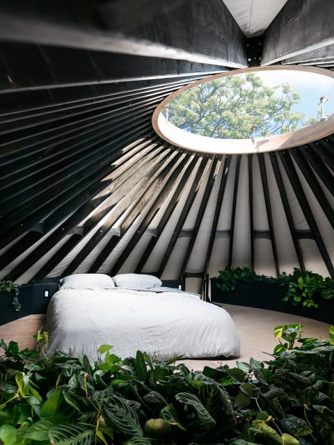 Groene oase in een yurt: Plant Design project mooiwatplantendoen