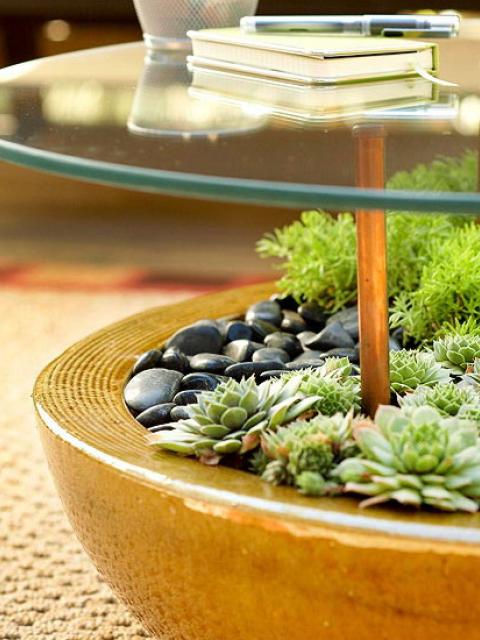 terrarium coffee table